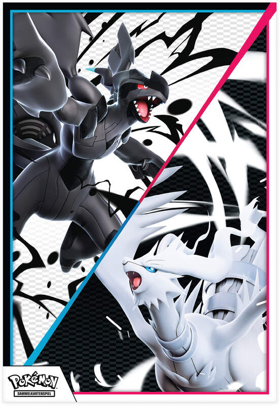 Pokémon Einall Poster-Kollektion KP10.5 mit drei holografischen Promokarten (Serpifeu, Floink, Ottaro), großem doppelseitigen Poster und vier Boostern aus Weiße Flammen und Schwarze Blitze.