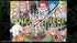 One Piece Card Game – Playmat Limited Edition Vol.4 (Zoro) mit exklusiver Promokarte – hochwertige Matte mit rechter Hand Crew Design